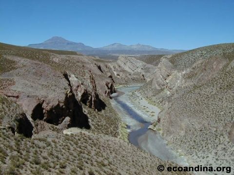 Typisches tief eingeschnittenes Tal in der Puna - hier findet man das Edelmetall. tief eingeschnittenes Tal in der Puna