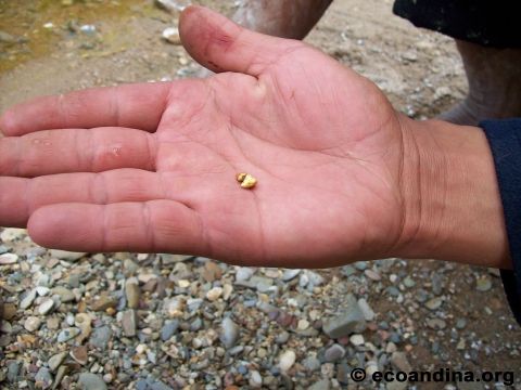 Neben Goldflitter werden auch Nuggets gefunden. nebn Goldflitter werden auch Nuggets gefunden